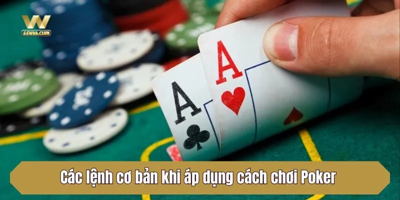 Các lệnh cơ bản khi áp dụng cách chơi Poker