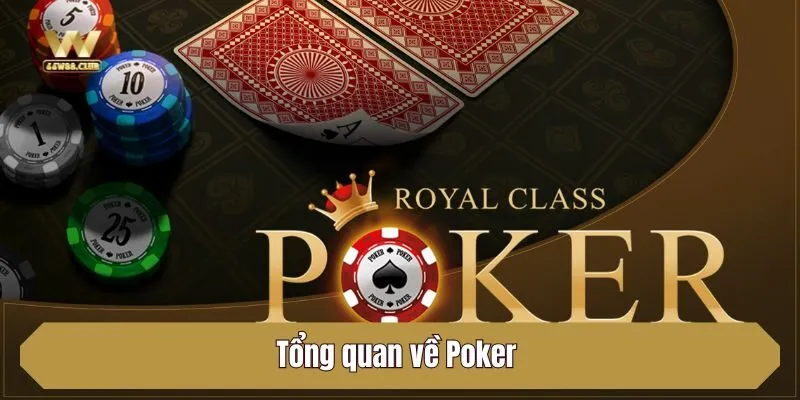 Tổng quan về Poker
