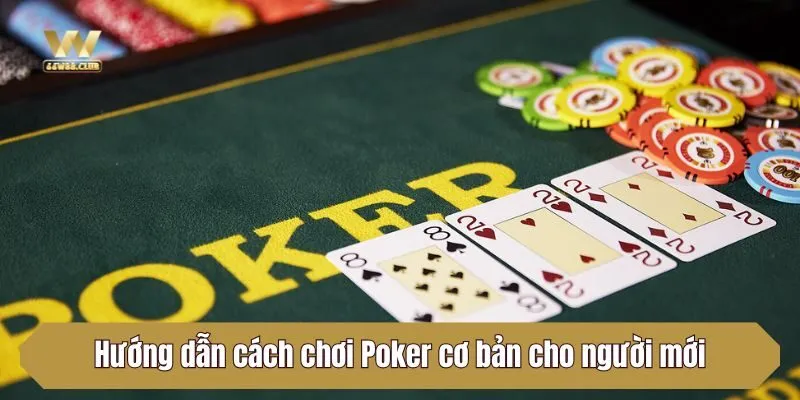 Hướng dẫn cách chơi Poker cơ bản cho người mới