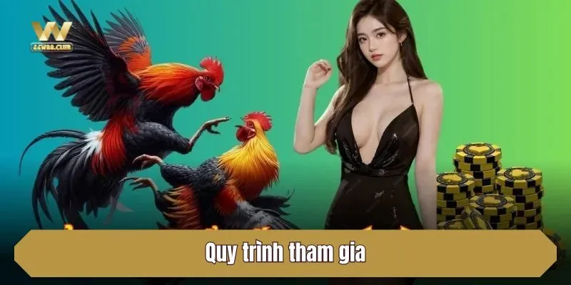 Quy trình tham gia