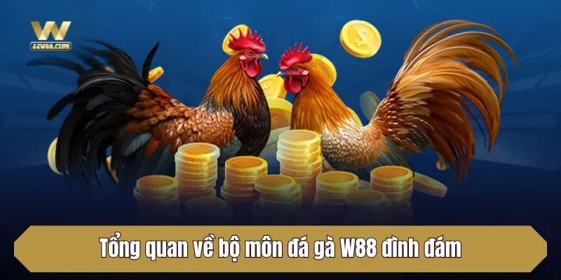 Tổng quan về bộ môn đá gà W88 đình đám