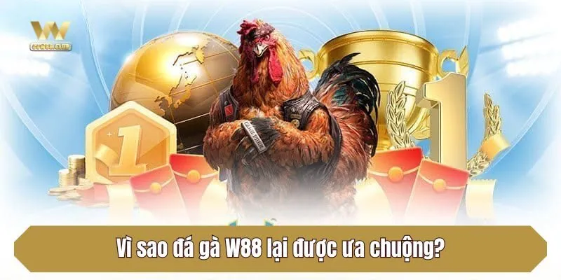 Vì sao đá gà W88 lại được ưa chuộng?
